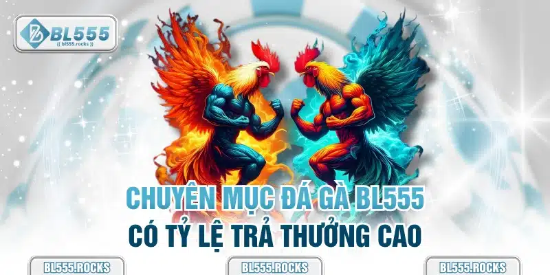 Chuyên mục đá gà BL555 có tỷ lệ trả thưởng cao